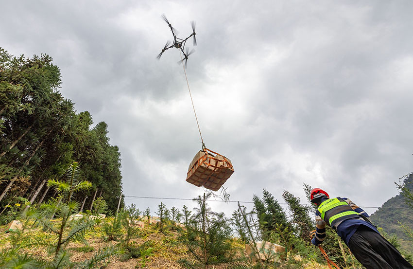 Мэншань, Гуанси: Дронмен з?мб?р жинау ?ызу ж?р?п жатыр